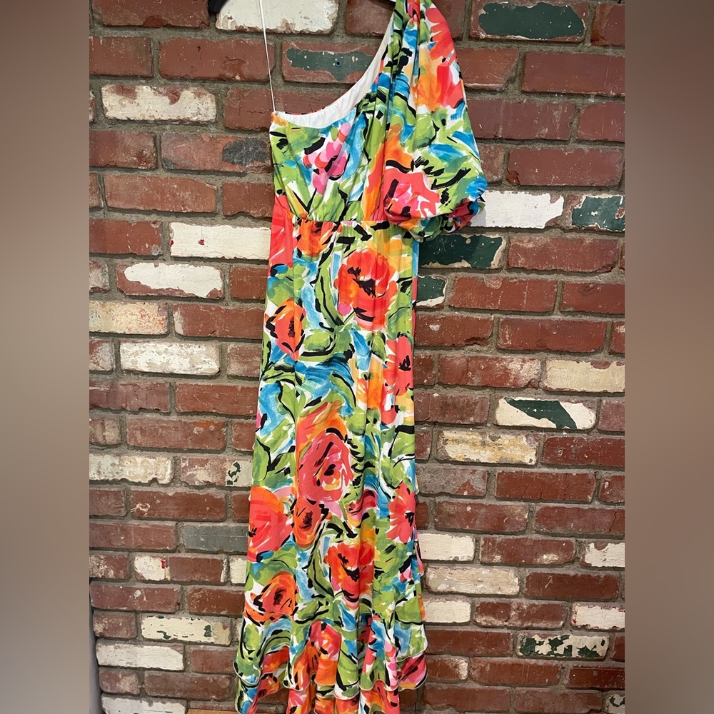 Show Me Your Mumu Standout Maxi in Mimosa Blooms NWT - Picture 8 of 8